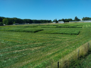 Plateforme 2022 Cap Prot&eacute;ine UEPAO-INRAE Centre-Val de Loire